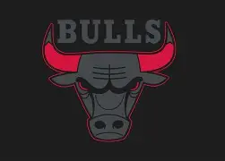 开云官网-清晨芝加哥公牛内部沟通——荷甲节点到来，目标明确，心理建设被强调的简单介绍